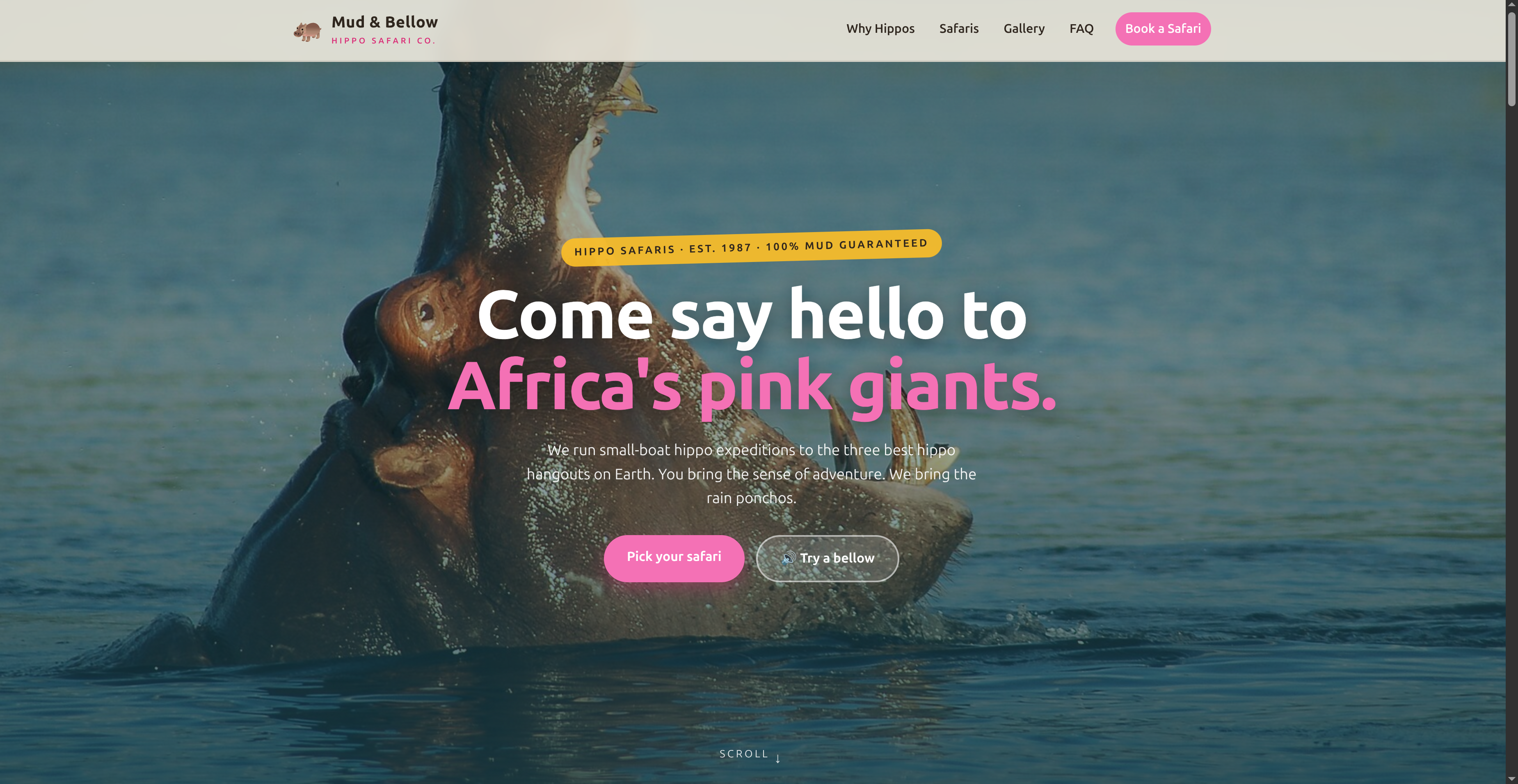 Screenshot of the Mud & Bellow hippo safari website